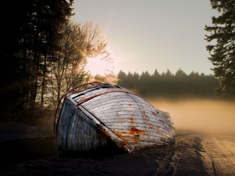 Ein Schiffswrack im Wald Thumbnail