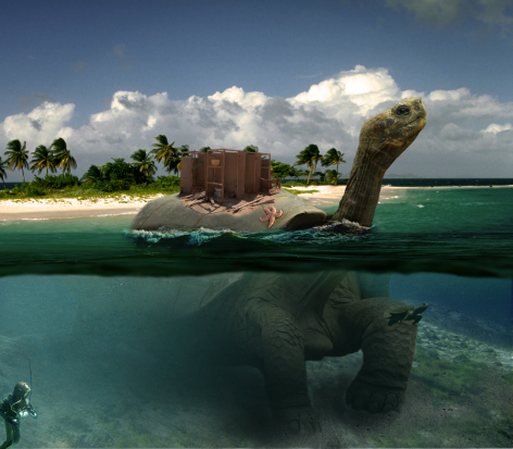 Turtle-Island Thumbnail